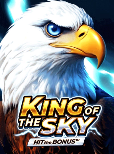 Online bingo room game cover